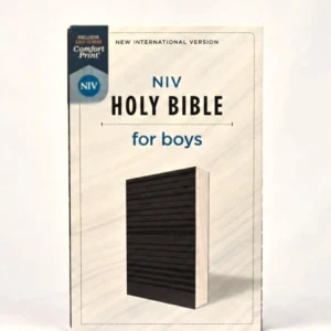 NIV Holy Bible for Boys — Soft Touch Edition, Gray