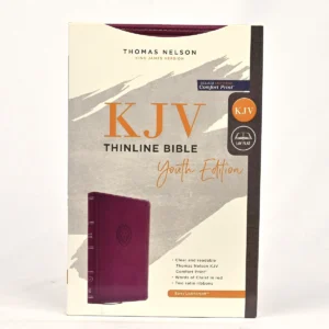 KJV Thinline Bible Youth Edition — Leathersoft Purple