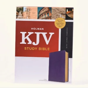 KJV Study Bible, Full-Color, plum Leather Touch