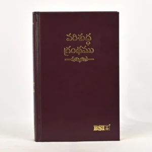 Telugu OV Gilt DY TI Burgandy HB Yaap | Telugu Bible