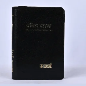 Marathi Bible RV Compact BL Zip Gilt - BSI