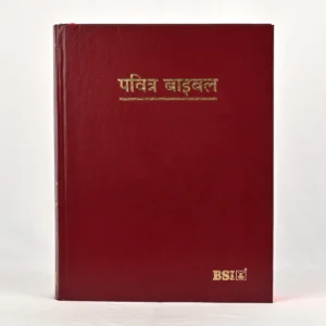 Hindi Holy Bible – Large Print / Big Letter