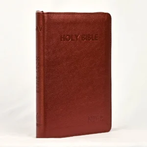 NIV Holy Bible Medium, Dark Brown, Zip