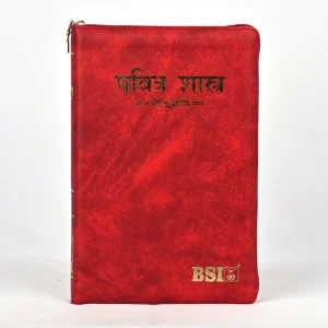 Holy Bible Marathi Regular size vinyl with zip/index Burgundy Containing Old and New Testament