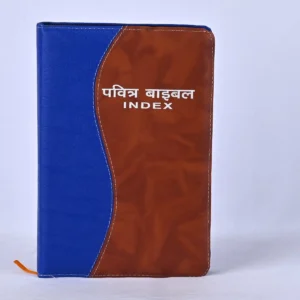 Holy bible - Hindi - Regular size zip index - Multi colour - Golden Edge