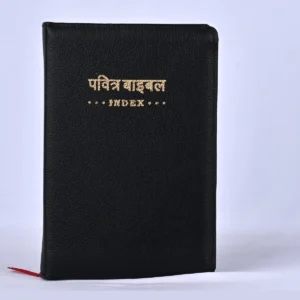 Holy Bible (Hindi) - compact zip index - Black