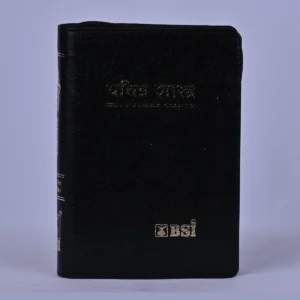 Marathi Bible RV Compact BL Zip Gilt - BSI
