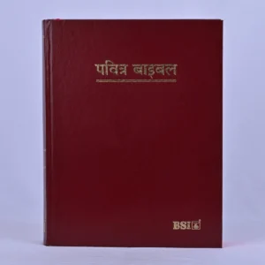 Hindi Holy Bible – Large Print / Big Letter