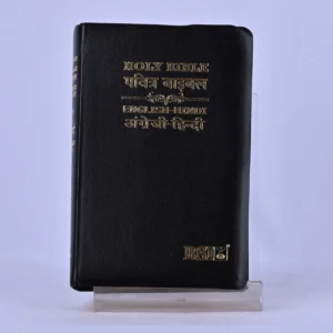 Hindi–English Diglot Bible – Regular Size, Black