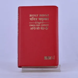 Hindi–English Diglot Bible – ESV / Hindi O.V., Regular Size, PU - Burgundy