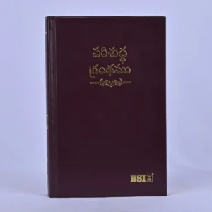 Telugu OV Gilt DY TI Burgandy HB Yaap | Telugu Bible