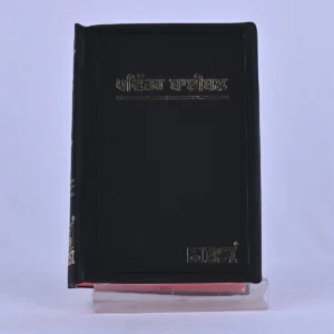 Punjabi (Panjabi) Holy Bible – Old Version (O.V.)