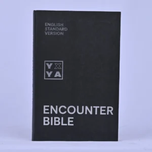 ESV Encounter Youth Bible — Grey, Anglicised