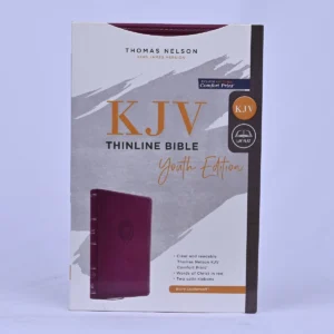 KJV Thinline Bible Youth Edition — Leathersoft Purple