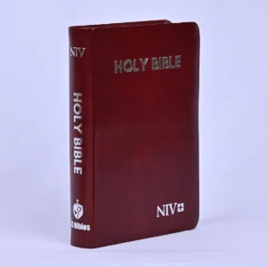 NIV Holy Bible Compact, Red