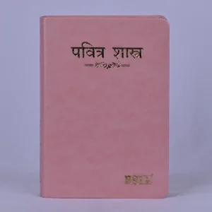 Holy Bible Marathi R.V.- Regular PU Pink Thumb index Yapp containing Old and New Testament
