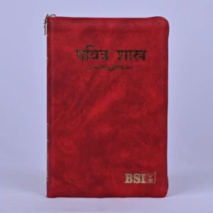 Holy Bible Marathi Regular size vinyl with zip/index Burgundy Containing Old and New Testament