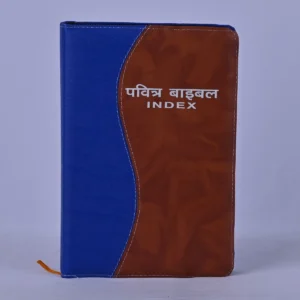 Holy bible - Hindi - Regular size zip index - Multi colour - Golden Edge