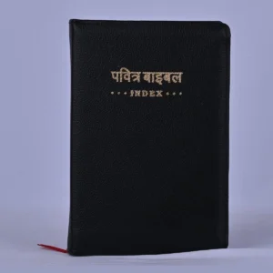 Holy Bible (Hindi) - compact zip index - Black