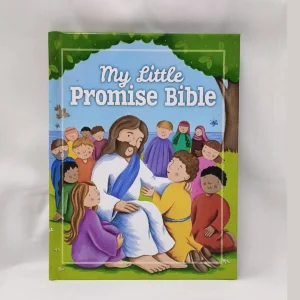 My Little Promise Bible